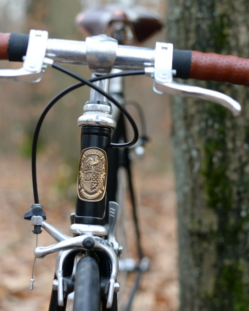 Vélos Panache Vélo Panache Le POLY 5 Vélos Panache Vélo Panache Le POLY – Image 3